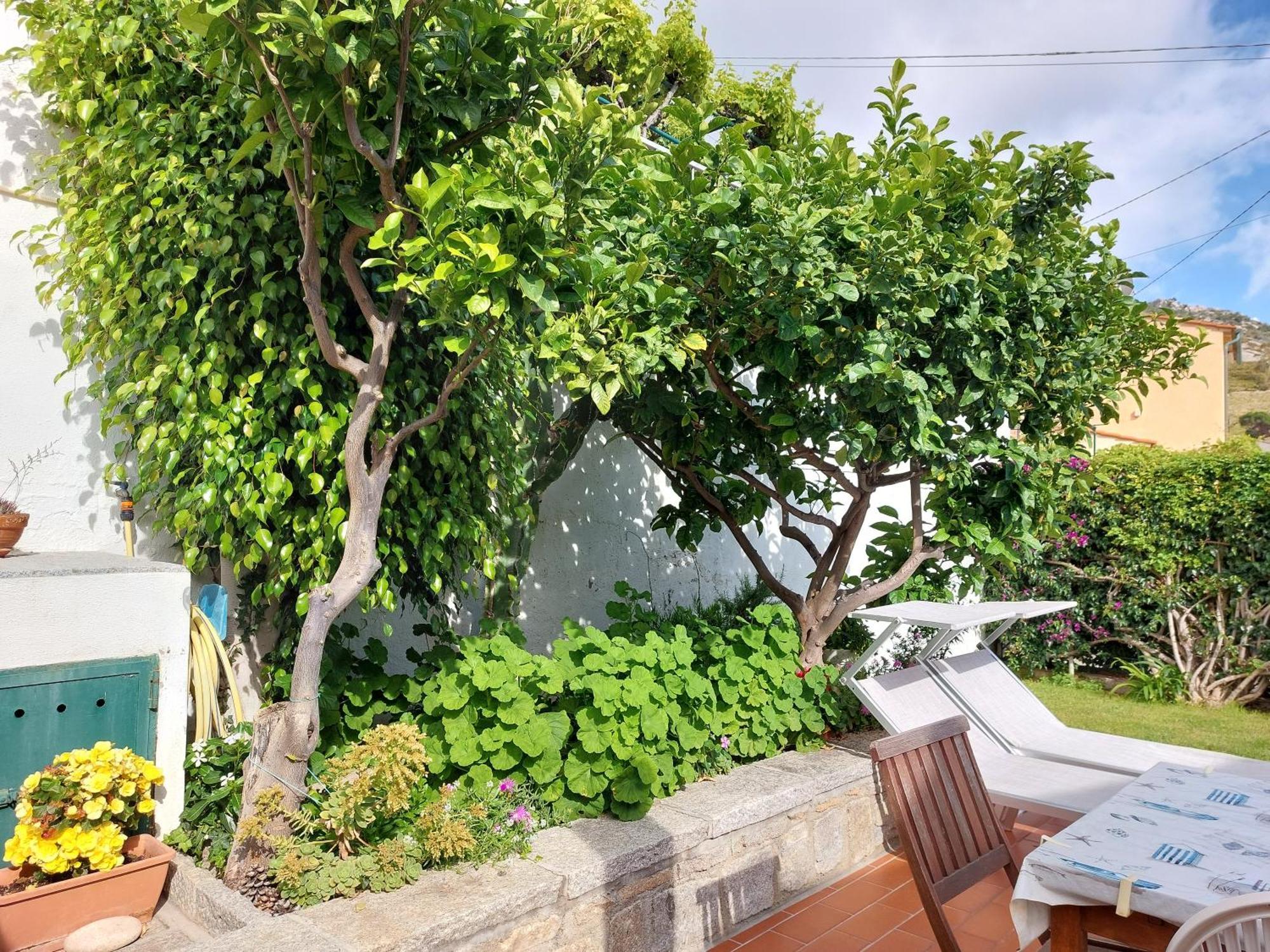 Casa Guerrino Villa Chiessi Dış mekan fotoğraf